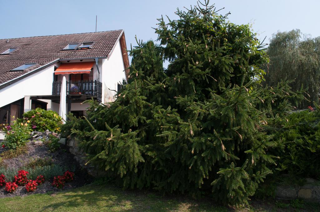 Apartment Edelweiss Egsdorf ภายนอก รูปภาพ