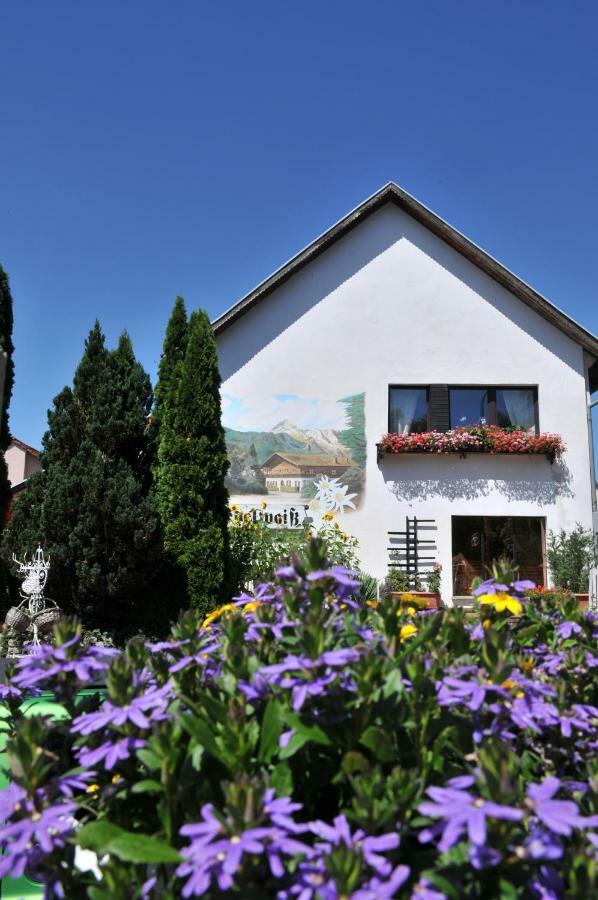 Apartment Edelweiss Egsdorf ภายนอก รูปภาพ